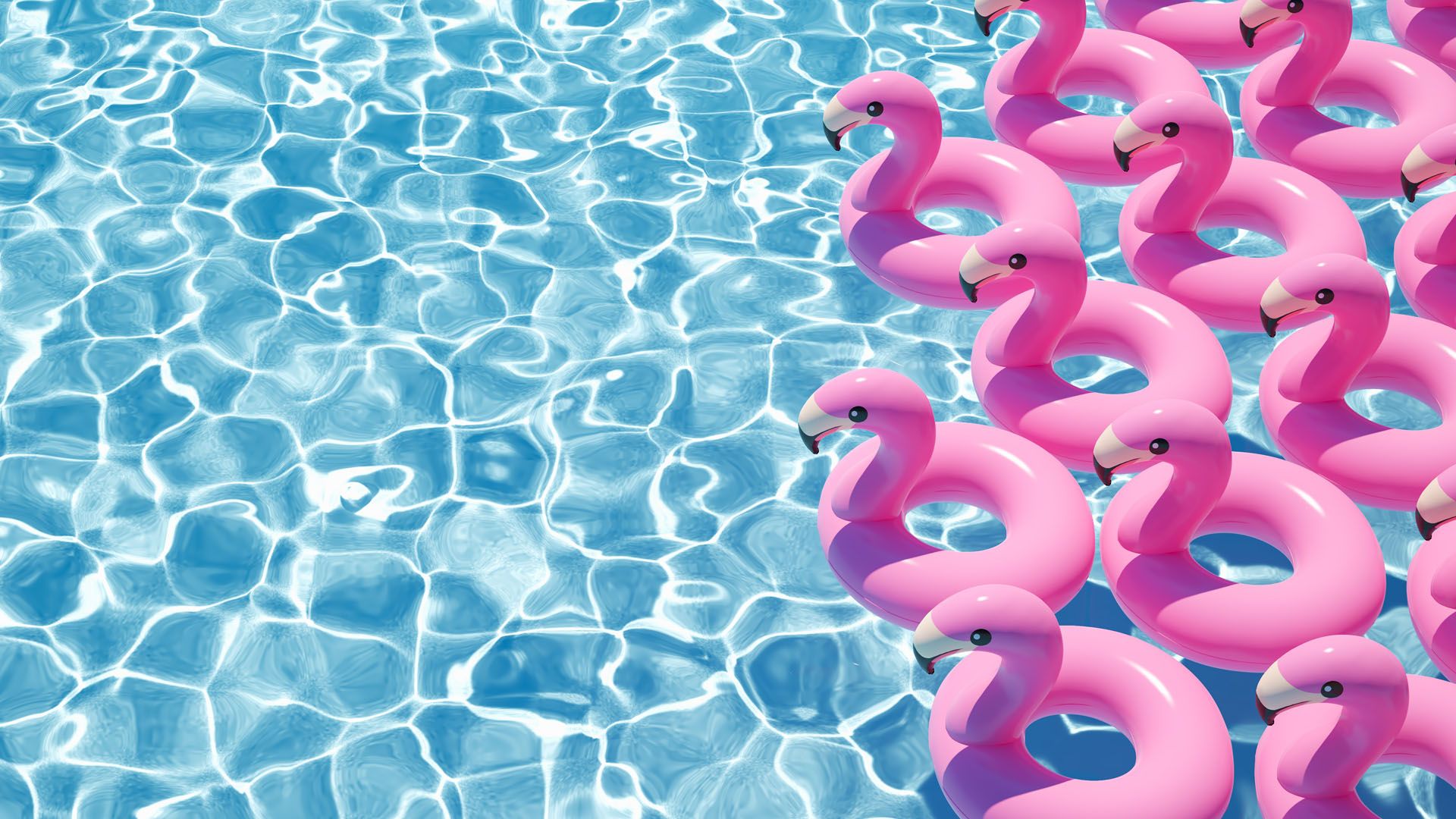 blow up pink flamingo floats in swimming pool